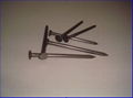 COMMON NAIL, WOODEN NAIL,IRON NAIL 4