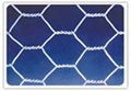 hexagonal wire netting