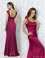 Formal Evening dress 2