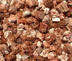 Golden expanded vermiculite