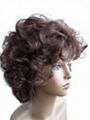 wig,fashion wig,lace wig 1