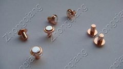 Electrical contacts, Electrical contact rivets