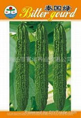 Thailand green melon seed