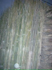 bamboo fence 