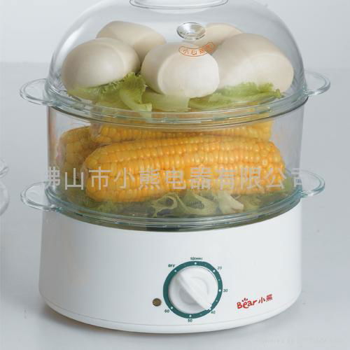 Food  Steamer 2