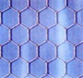 Hexagonal Wire Netting 