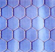 Hexagonal Wire Netting