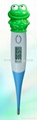 Clinical Thermometer