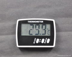 Digital Thermometer