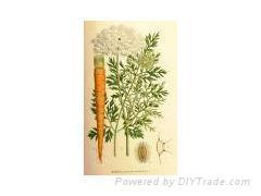 Beta-carotene(sales9 at lgberry dot com dot cn)