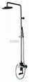 thermostatic shower 2