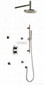 thermostatic shower 4