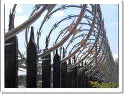 Razor Wire