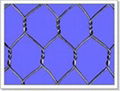 Hexagonal Wire Netting 1