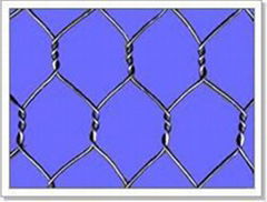 Hexagonal Wire Netting