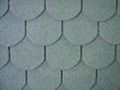 Fish Scale Asphalt Shingle