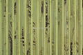 Bamboo wallpaper 2