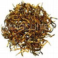 Yunnan Golden Tips