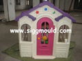 blow house mould