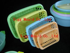 Household Mould