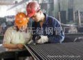 Seamless Steel Tubes for Heat Exchanger and Condensers（seamless steel tube/pipe)