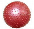 Gymnastic Ball  (HD-H03) 1