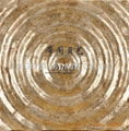 Capiz Shell mosaic tile