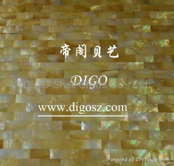 Goldlip Shell Tile 3