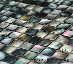 Blacklip shell mosaic