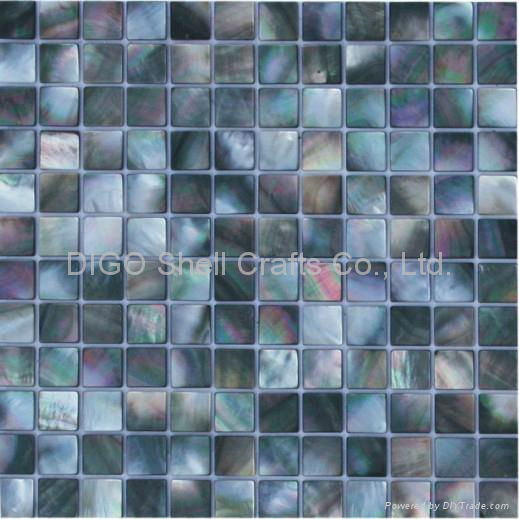 Blacklip shell mosaic 2