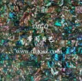 Abalone Shell Tile