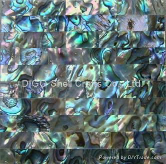 Abalone Shell Tile 3