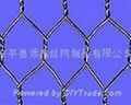 hexagonal wire mesh