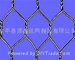 hexagonal wire mesh