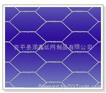 hexagonal wire mesh 3