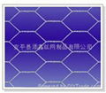 hexagonal wire mesh 3