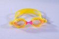 swimming goggle 5