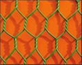 Hexagonal Wire Netting