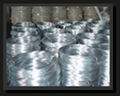 Galvanzied Wire