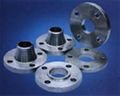 Forged Flanges 1