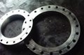 Forged Flanges 2