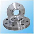 Stainless Steel Flanges