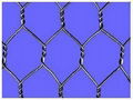 Hexagonal Wire Netting 1