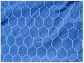 Hexagonal Wire Netting 2