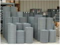 Welded Wire Mesh