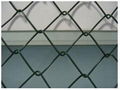 Chain Link Fence