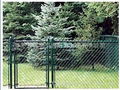 Chain Link Fence 4