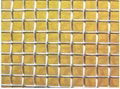 Square Wire Mesh 1