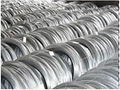 Galvanized Iron Wire