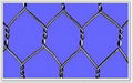 hexagonal wire netting 